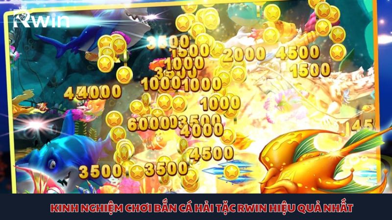 Hướng dẫn cách chơi game bắn cá Hải Tặc chi tiết cho tân thủ