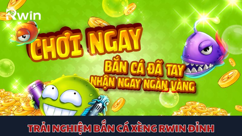 Cách săn mồi thành công nhờ sử dụng đạn phù hợp với từng loại cá